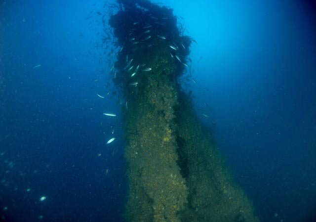 Der Mast des Wracks ragt hoch empor. Quelle: Diving center Shark Medulin